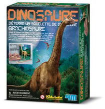 Kit de fouille Brachiosaure