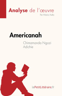 Americanah de Chimamanda Ngozi Adichie (Analyse de l'œuvre) - Résumé complet et analyse détaillée de l'œuvre