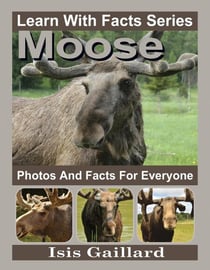 Moose Photos and Facts for Everyone - Learn With Facts Series, #56