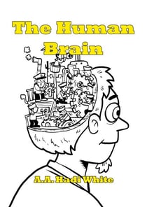 The Human Brain - Lost Between Details, #3