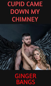 Cupid Came Down My Chimney - The Cupid Chronicles
