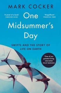 One Midsummer's Day - The story of all life on Earth told through the flight of a single bird