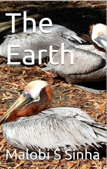 The Earth