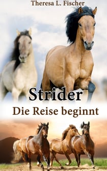 Strider - Die Reise beginnt