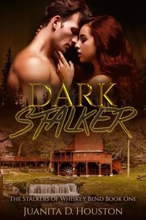 Dark Stalker - The Stalkers of Whiskey Bend, #1