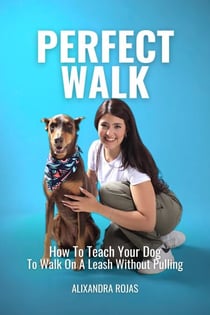 Perfect Walk How To Teach Your Dog To Walk On A Leash Without Pulling