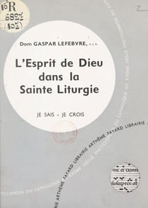 L'Église dans sa liturgie et ses rites (10) : L'esprit de Dieu dans la sainte liturgie
