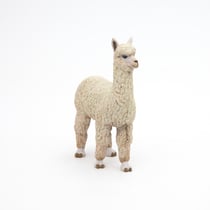Alpaga - PAPO - 50250