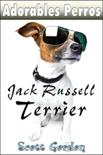 Adorables Perros: los Jack Russell Terrier - Adorables Perros
