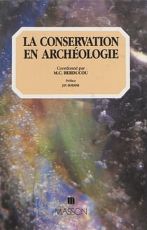 La Conservation en archéologie - Méthodes pratiques de la conservation-restauration des vestiges archéologiques