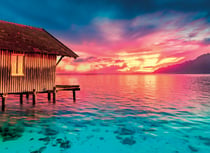 Puzzle 500 pièces - Peace Puzzle - Living the Present