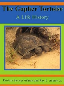 Gopher Tortoise - A Life Story