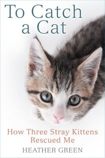 To Catch a Cat - How Three Stray Kittens Rescued Me
