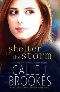 Shelter from the Storm - Finley Creek, #2