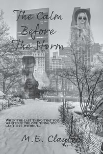 The Calm Before the Storm - The Storm Series, #2
