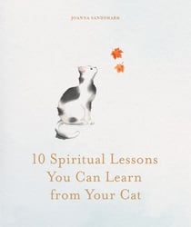 10 Spiritual Lessons You Can Learn from Your Cat - Essential Life Lessons We Can Learn From Our Furry Friend