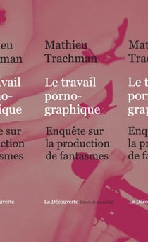 Le travail pornographique - Enquête sur la production de fantasmes