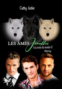 Les Âmes-Jumelles # 2 (réédition) - À la croisée des mondes