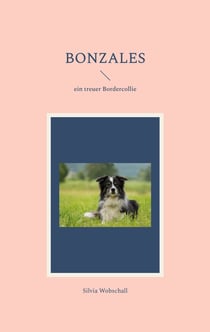 Bonzales - ein treuer Bordercollie