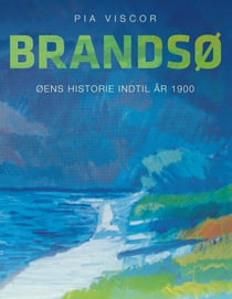 Brandsø - Øens historie indtil år 1900