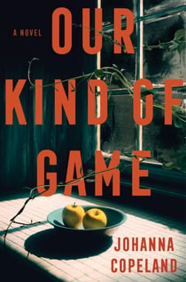 Our Kind of Game - A Novel