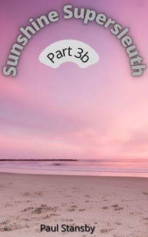 Sunshine Supersleuth Part 3b