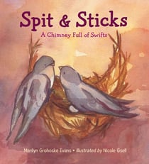 Spit & Sticks - A Chimney Full of Swifts