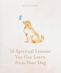 10 Spiritual Lessons You Can Learn from Your Dog - Essential Life Lessons We Can Learn From Our Furry Friend