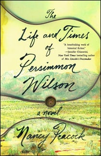 The Life and Times of Persimmon Wilson - A Novel