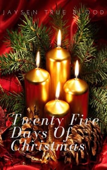 Twenty-Five Days Of Christmas - The Daniel Hargiss Series, Book 2