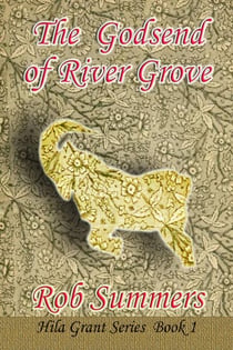 The Godsend of River Grove - Hila Grant, #1