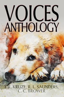 Voices Anthology - Short Story Fiction Anthology