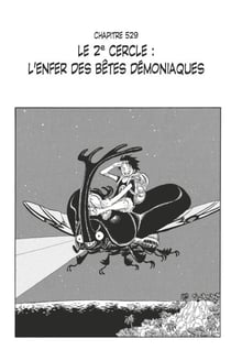 One Piece édition originale - Chapitre 529 - Le 2e cercle : l'enfer des bêtes démoniaques