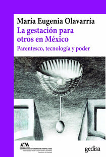 La gestación para otros en México - Parentesco, tecnología y poder