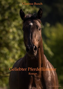 Geliebter Pferdeflüsterer - Ein Pferderoman