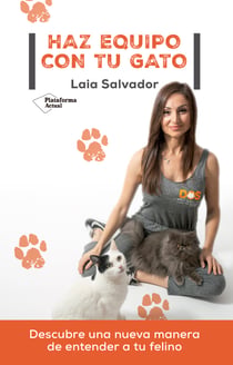 Haz equipo con tu gato