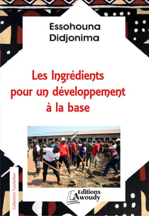 Les Ingrédients pour un développement à la base - Essai