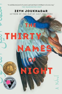 The Thirty Names of Night - A Novel