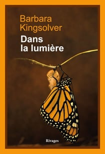 Dans la lumière