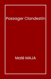 Passager clandestin