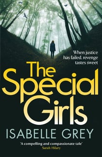 The Special Girls - A devastating crime thriller with a heart-wrenching twist
