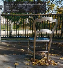 Sans toi, je n'aurais pas regardé si haut - Tableaux d'un parc