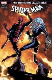 Spider-Man (softcover) T07 - Au voleur