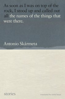 The Names of the Things That Were There - Stories