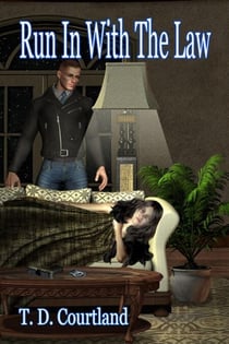 Run In With The Law - The Austin trilogy, #1