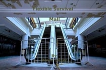 Flexible Survival - Mall - Flexible Survival, #5