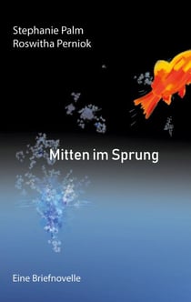 Mitten im Sprung - Eine Briefnovelle