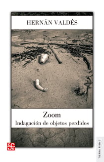Zoom - Inventario de objetos perdidos