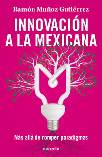 Innovación a la mexicana - Más allá de romper paradigmas