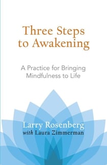 Three Steps to Awakening - A Practice for Bringing Mindfulness to Life